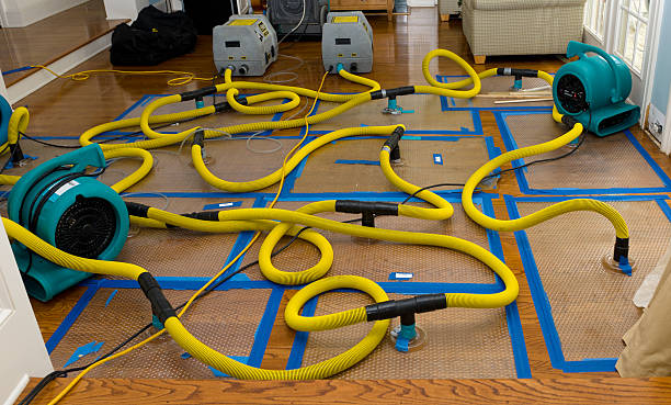 Professional Sewage Cleanup technician working in Holbrook, NY